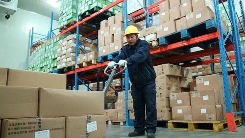 烈日下的“逆行者” 高温下的低温工作者如何保障货物进出口畅通