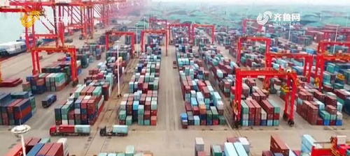 山东创新“船到即提”模式，推动外贸货物高效流转