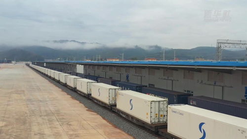 中老铁路国际货运 进出口货物总值突破6亿元大关，区域经济合作迎来新篇章